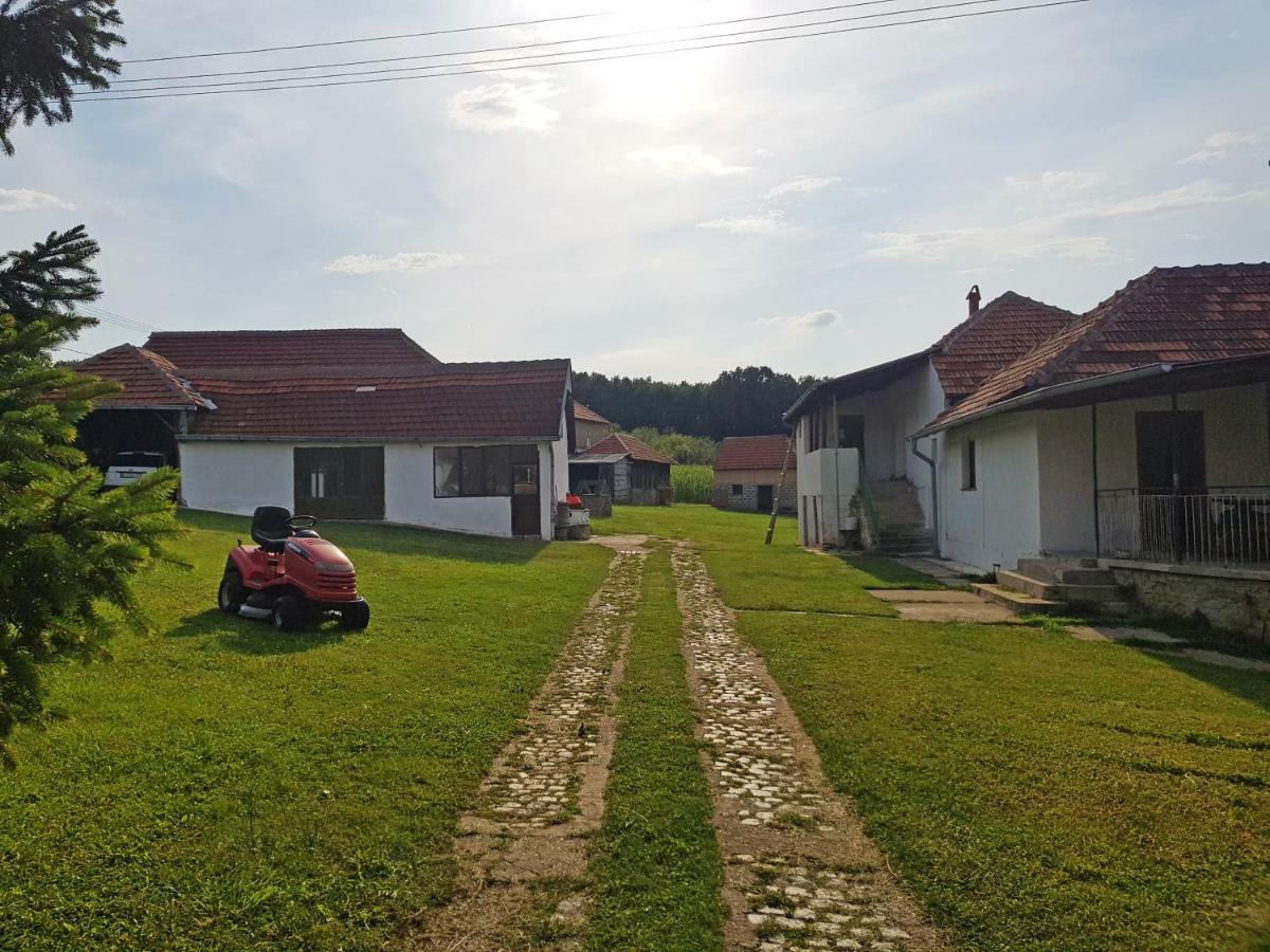 Green Apartments Kursumlija Buitenkant foto